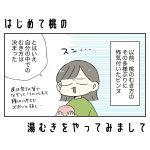 はじめて桃の湯むきをやってみまして